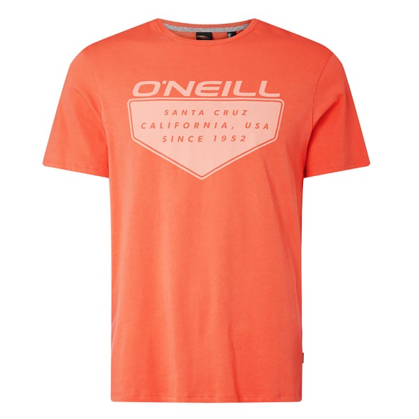 O'neill LM O'NEILL CRUZ T-SHIRT T-Shirt - Bild 1